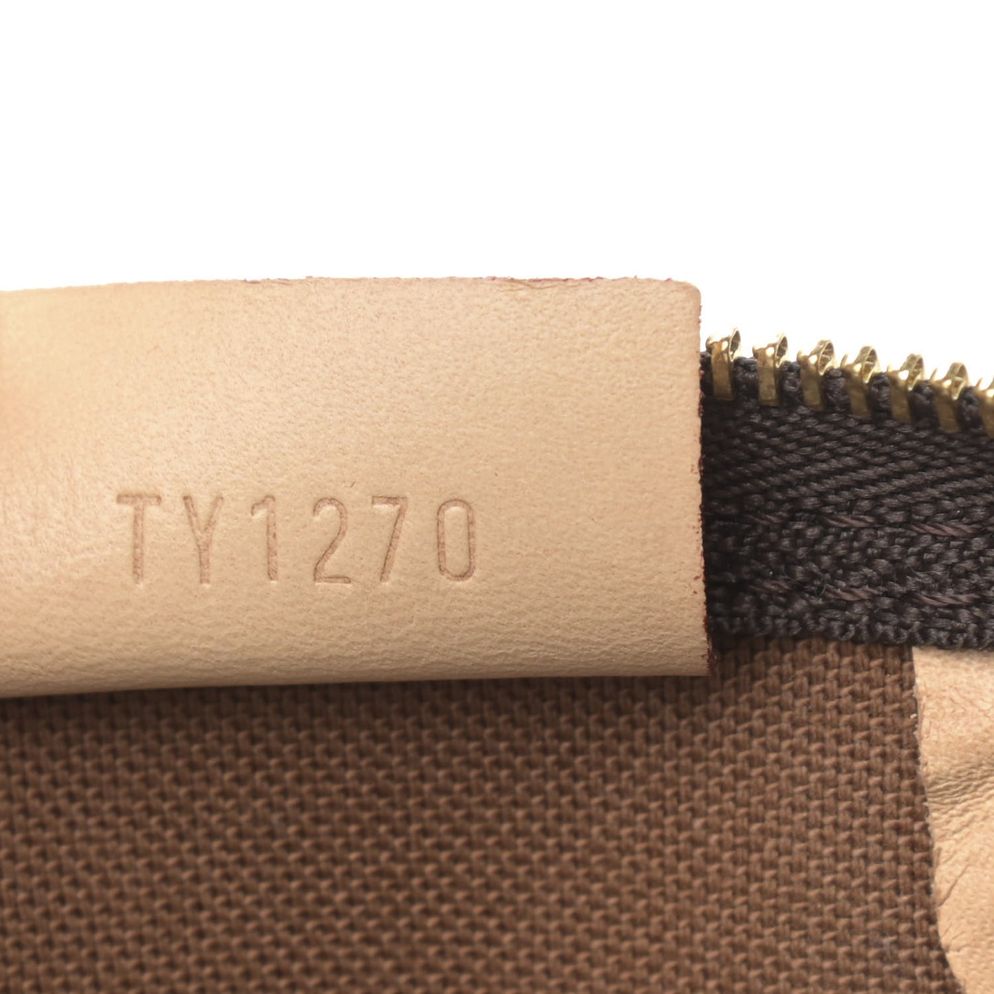 Monogram Nano Speedy