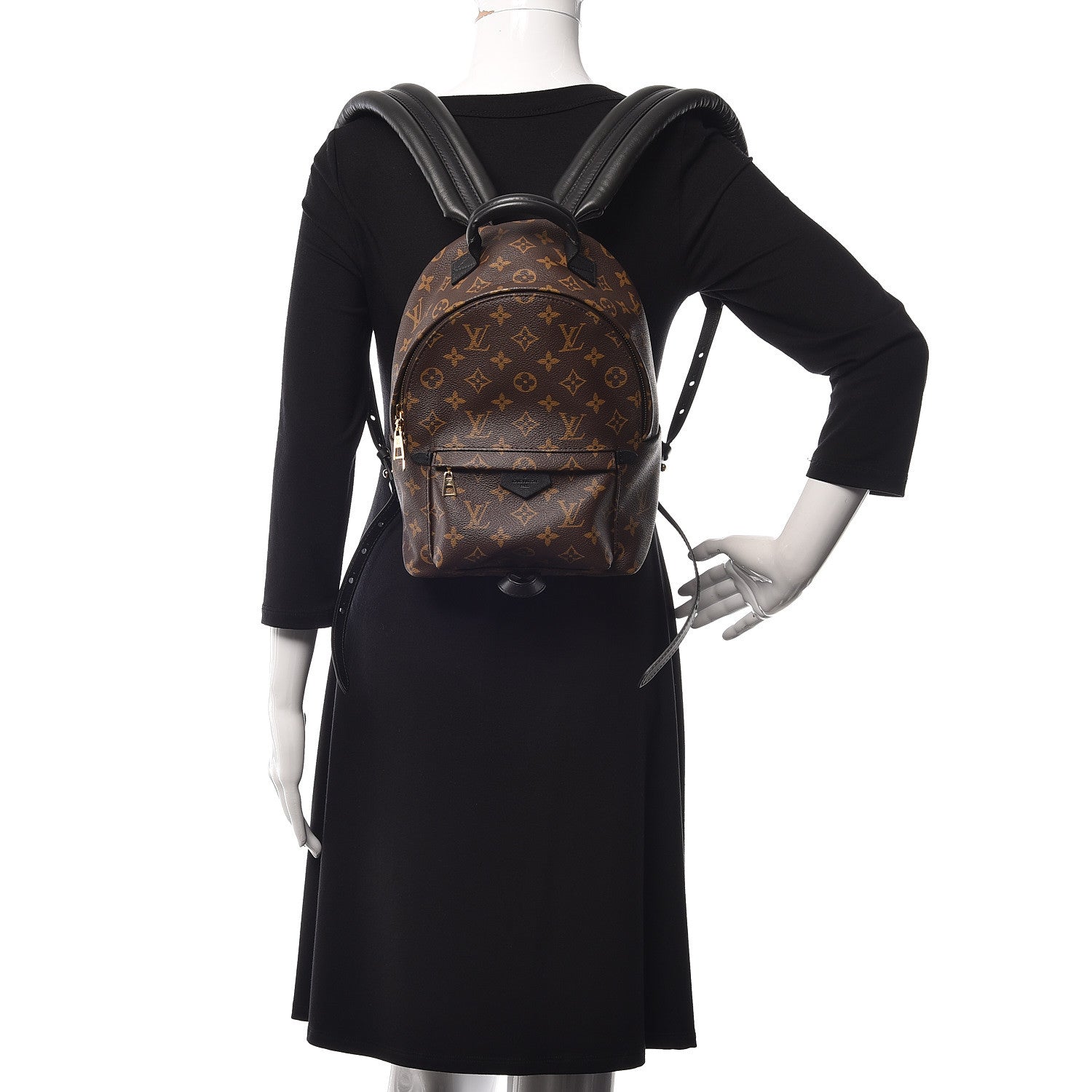 Louis Vuitton Monogram Palm Springs Backpack PM 2 of 10