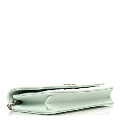Chanel Lambskin Quilted Textured CC Wallet On Chain WOC Light Green 3 of 11