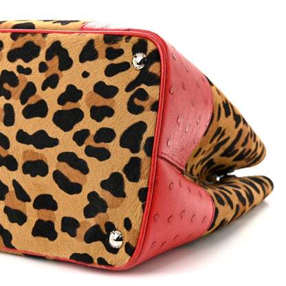 Prada Calf Hair Ostrich Leopard Print Medium Double Bag Miele Voyage 9 of 9