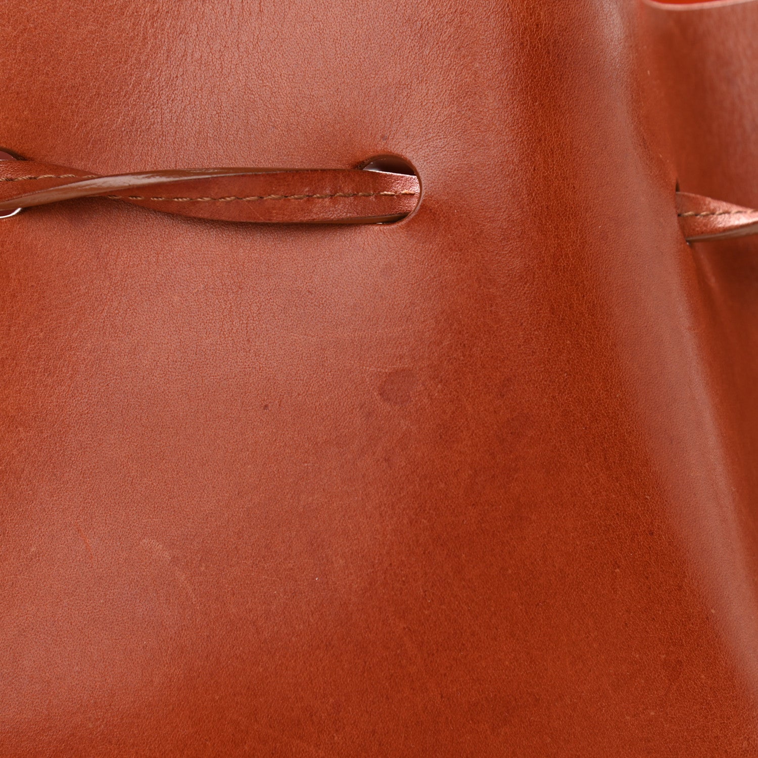 Mansur Gavriel Vegetable Tanned Calfskin Mini Bucket Bag Camello 16 of 18
