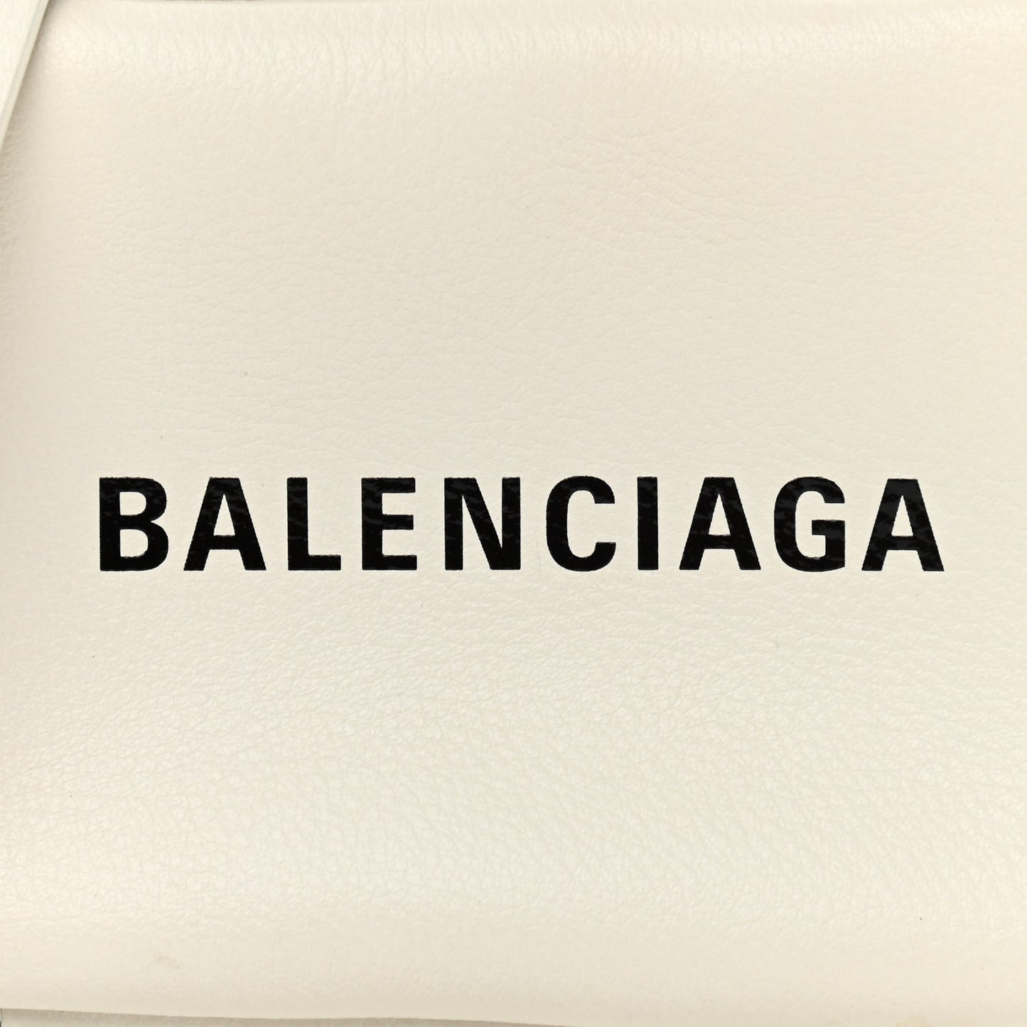 Calfskin Logo XS Everyday Camera Bag White