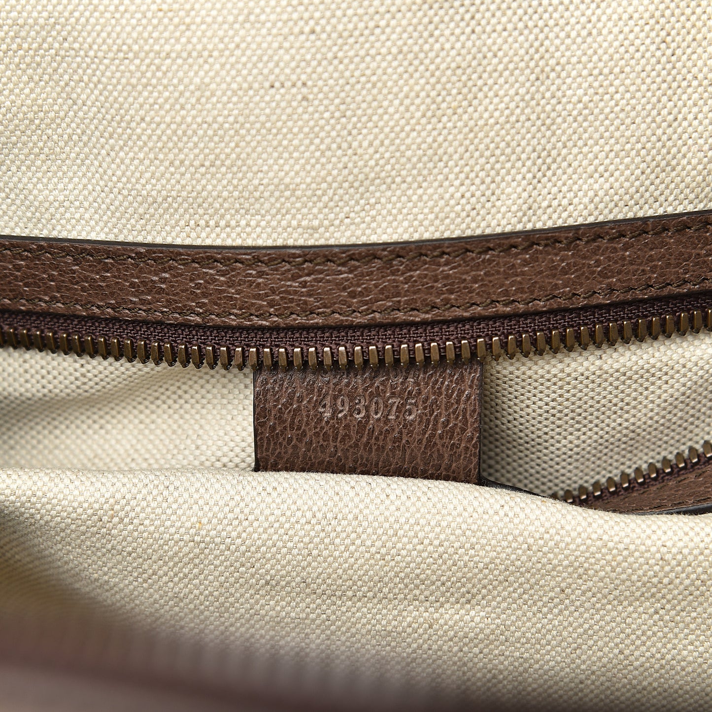 GG Supreme Monogram Medium Ophidia Day Backpack Brown