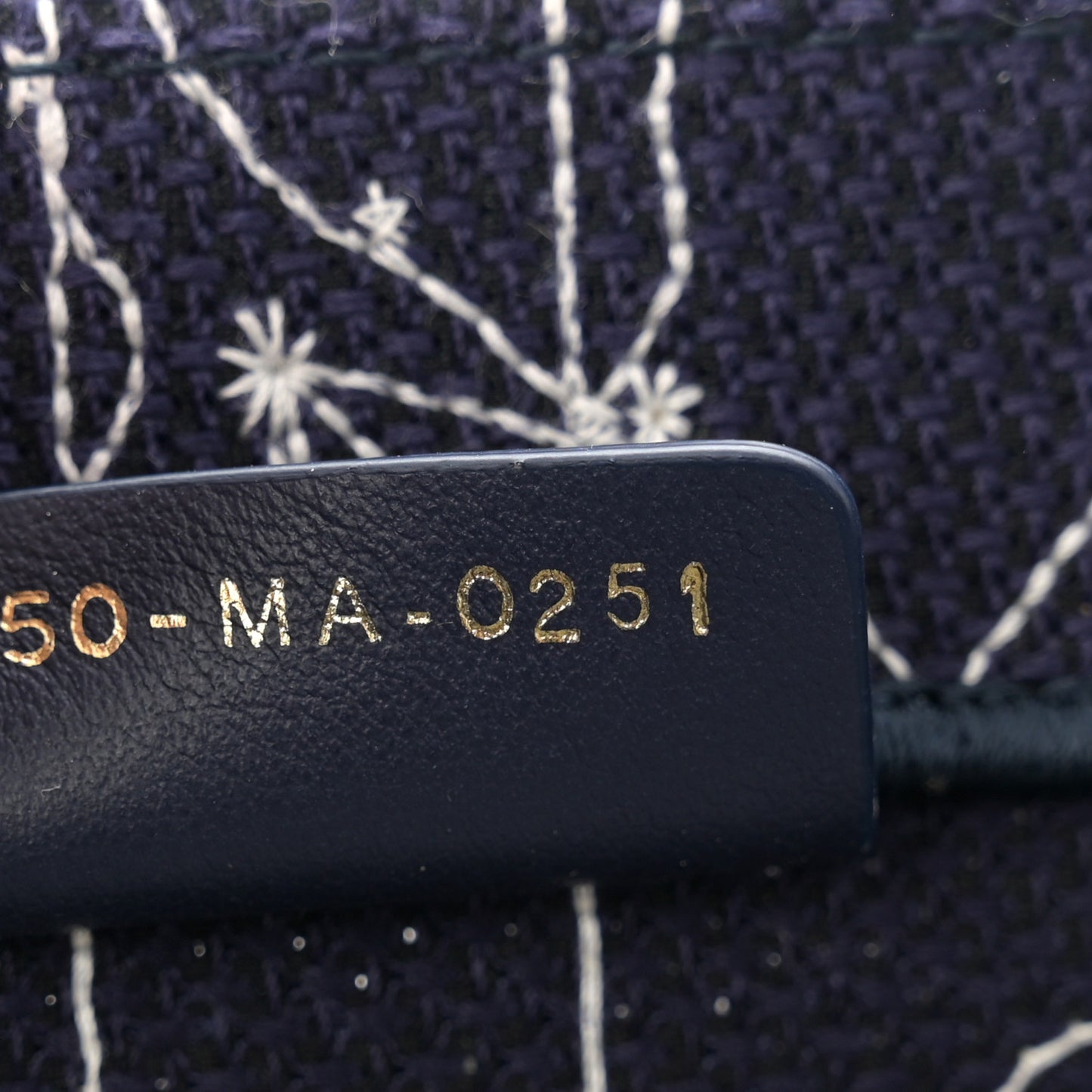 Canvas Embroidered Medium Zodiac Book Tote Blue Multicolor