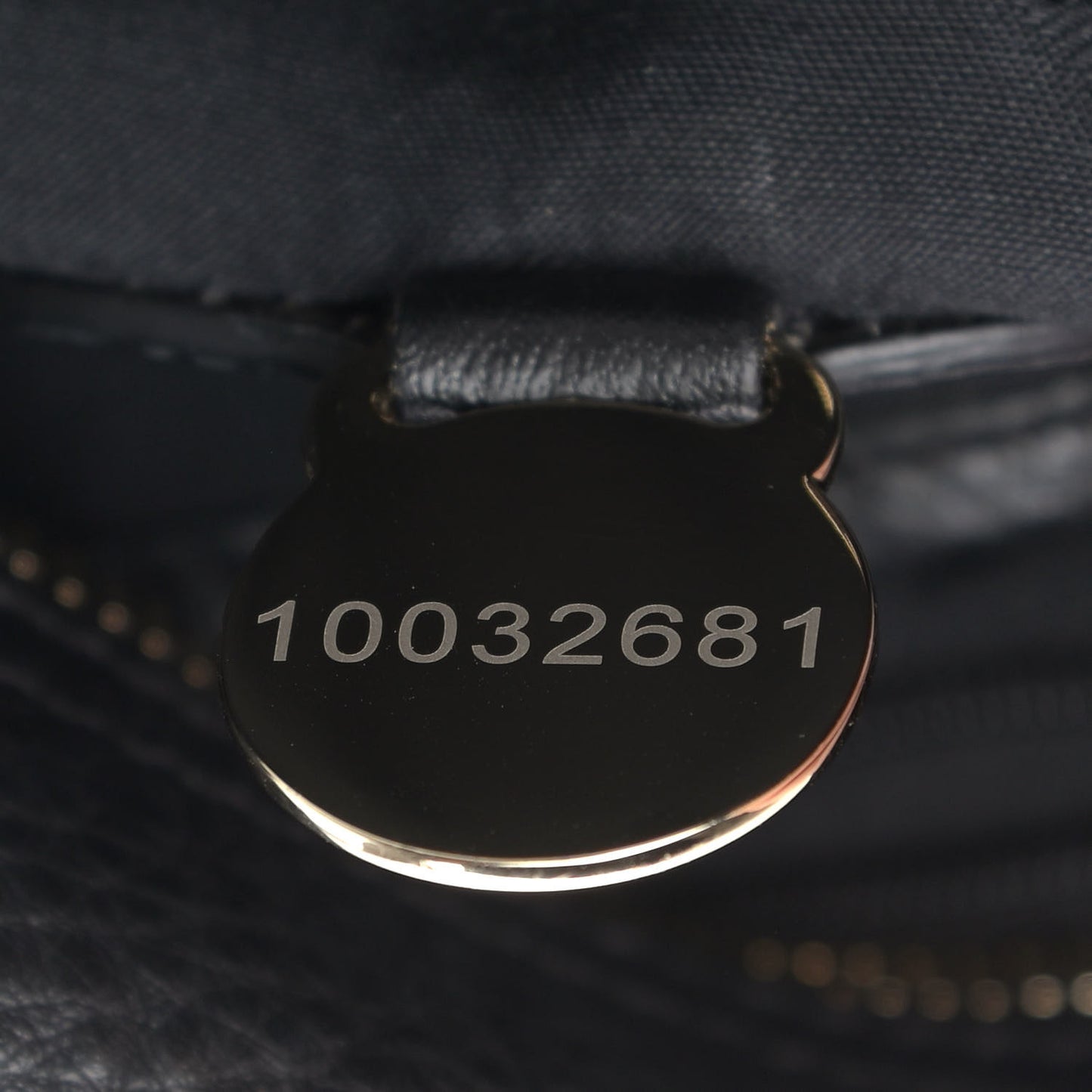 Soft Spongy Calfskin Medium Daria Hobo Black