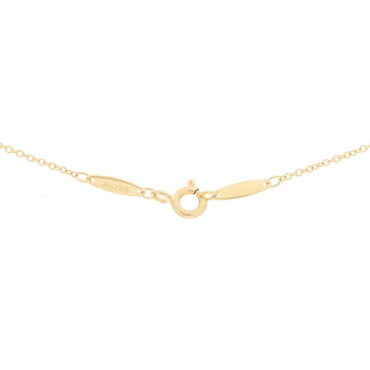 Tiffany 18K Yellow Gold Ruby Elsa Peretti Color By The Yard Pendant Necklace 4 of 6