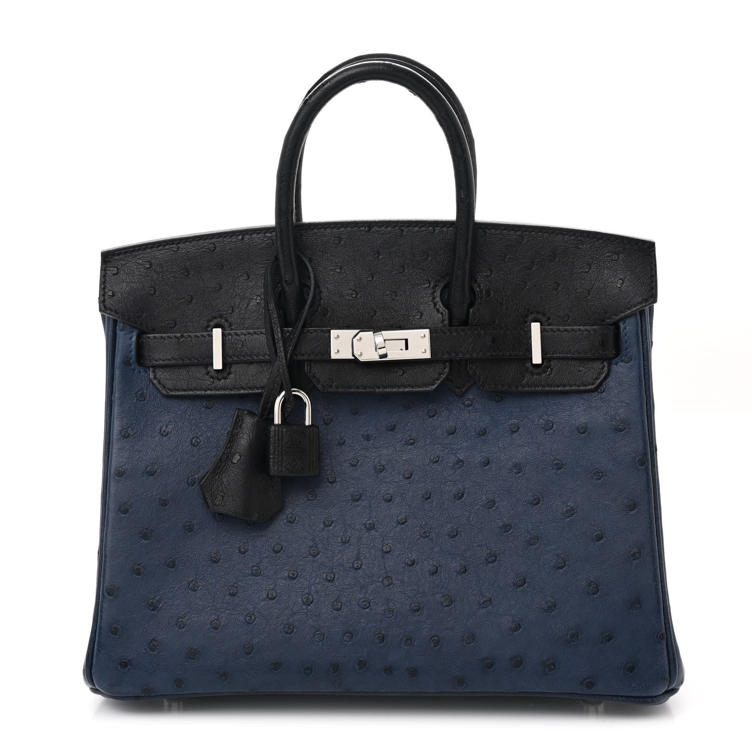 Hermes Ostrich Bi-Color Birkin 25 Bleu Iris Black 1 of 12