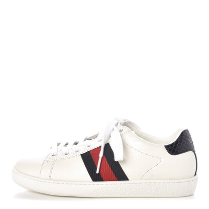 Gucci Calfskin Ayers Web Womens Ace Sneakers 35.5 White Blue 1 of 9