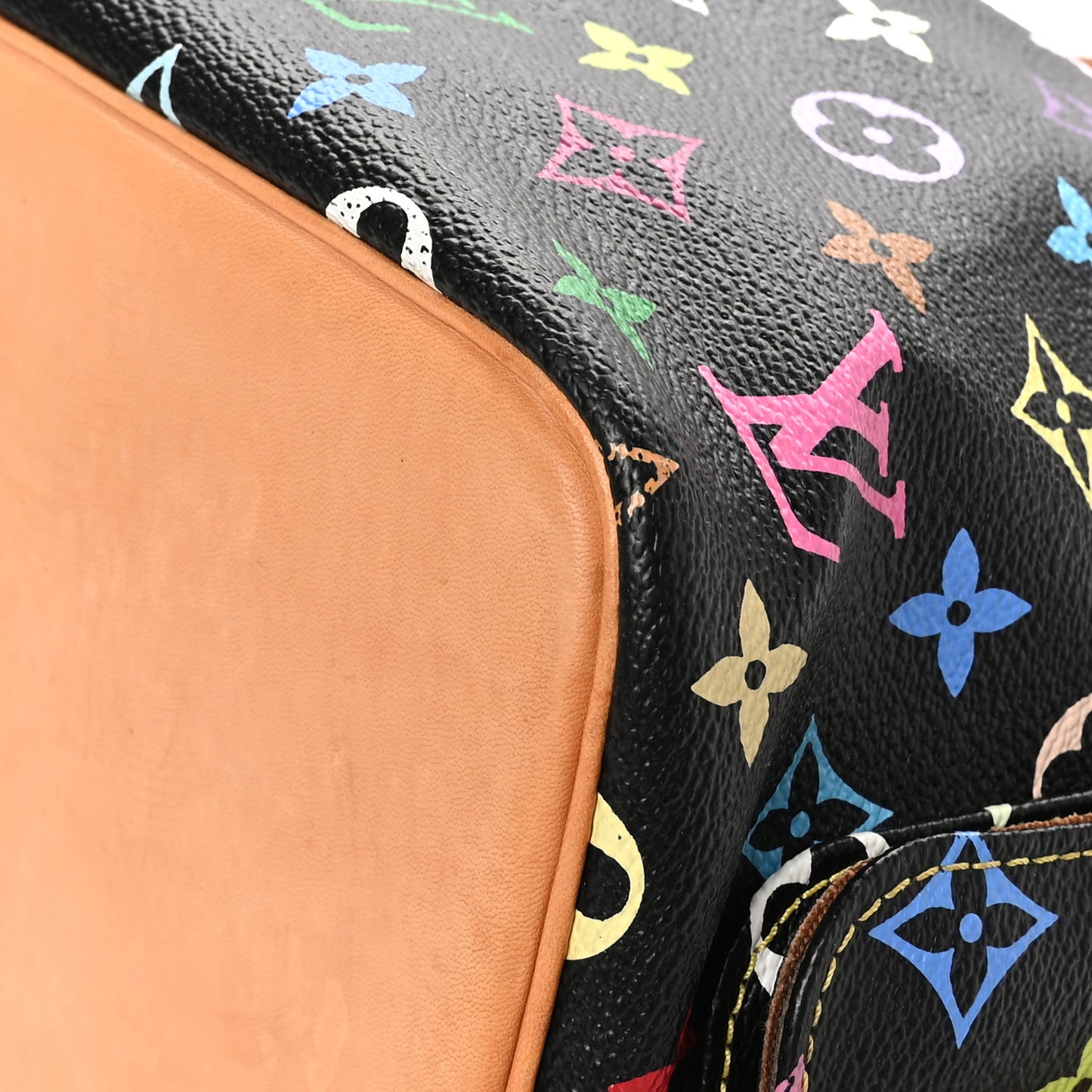 Monogram Multicolor Petit Noe Black