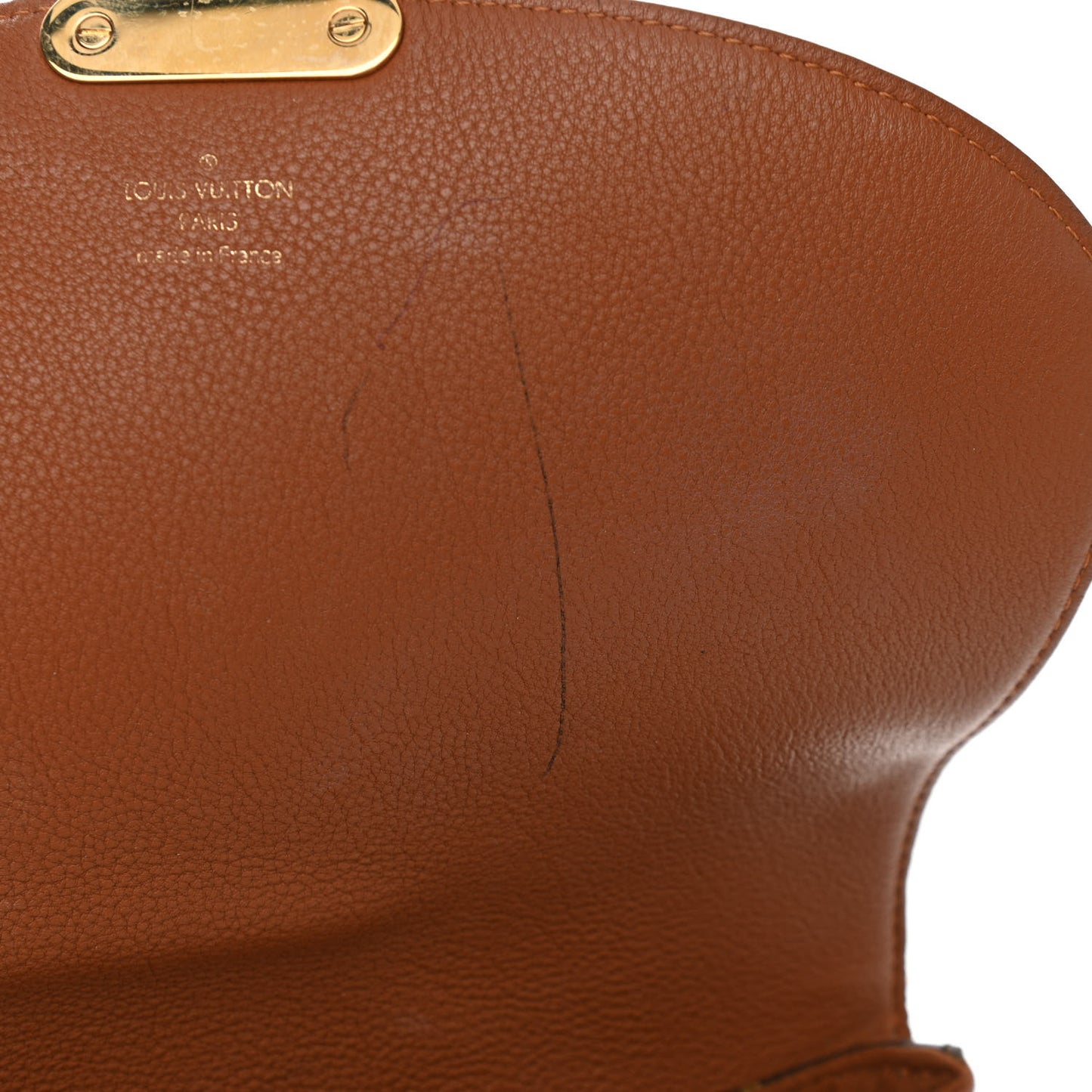 Monogram Eden MM Camel