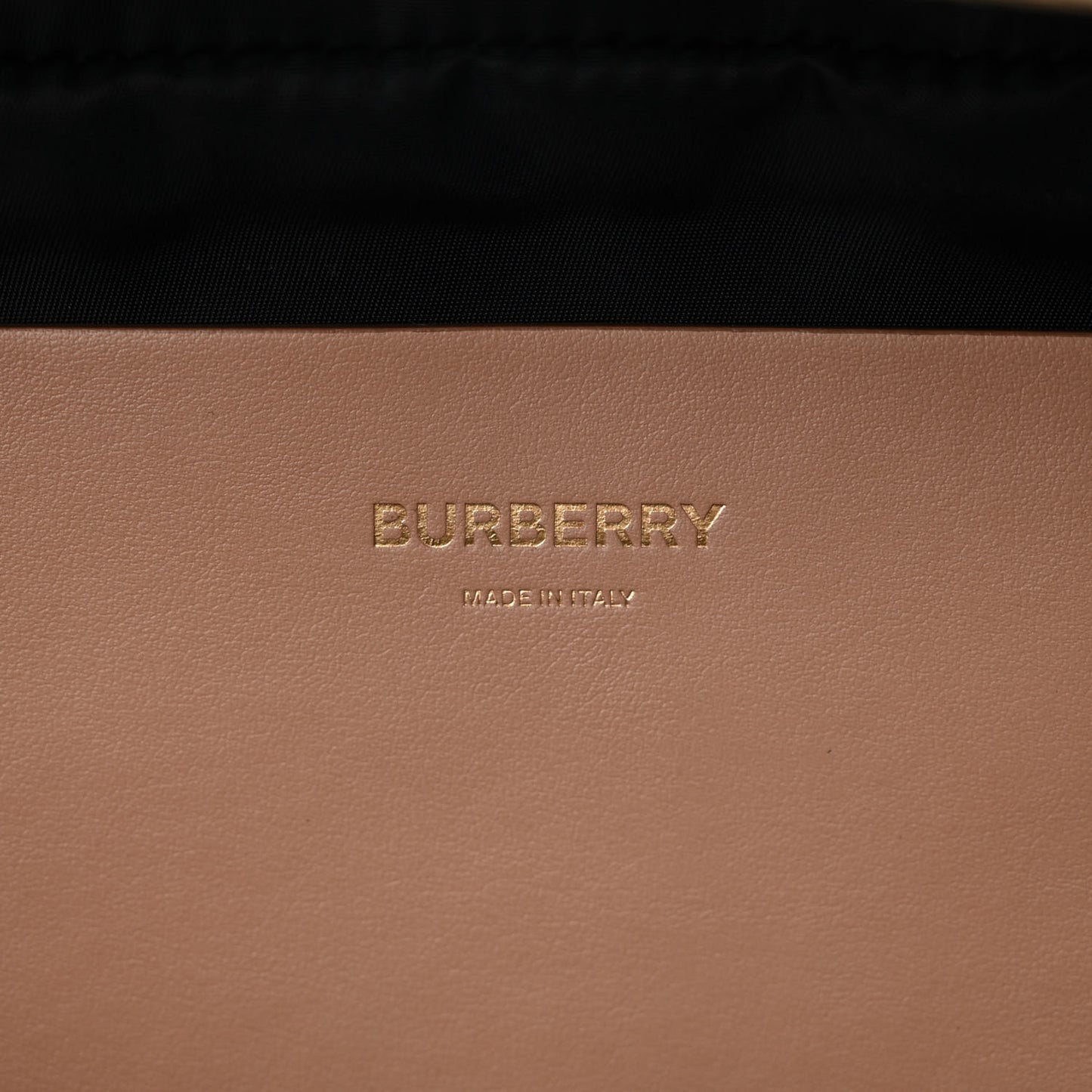 Nylon Monogram Sonny Bum Bag Blush