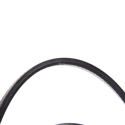 Goyard Goyardine Saint Louis PM Black 12 of 12