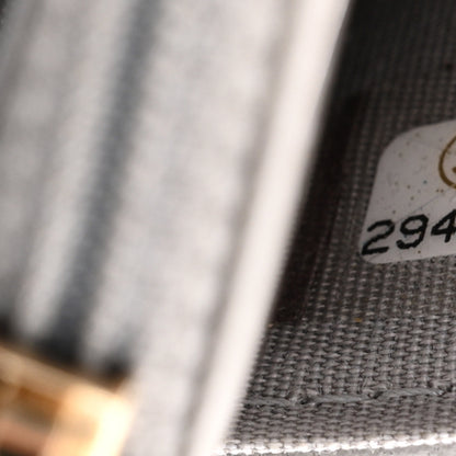 Chanel Lambskin Quilted Chanel 19 Wallet On Chain WOC Grey 7 of 16