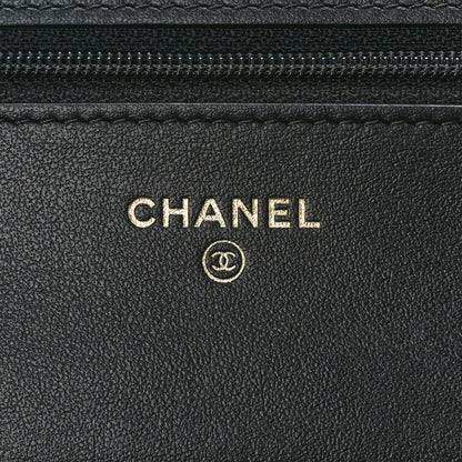 Chanel Calfskin Crocodile Embossed Graffiti 2.55 Cocodile Reissue Wallet On Chain WOC Black Gold 6 of 10