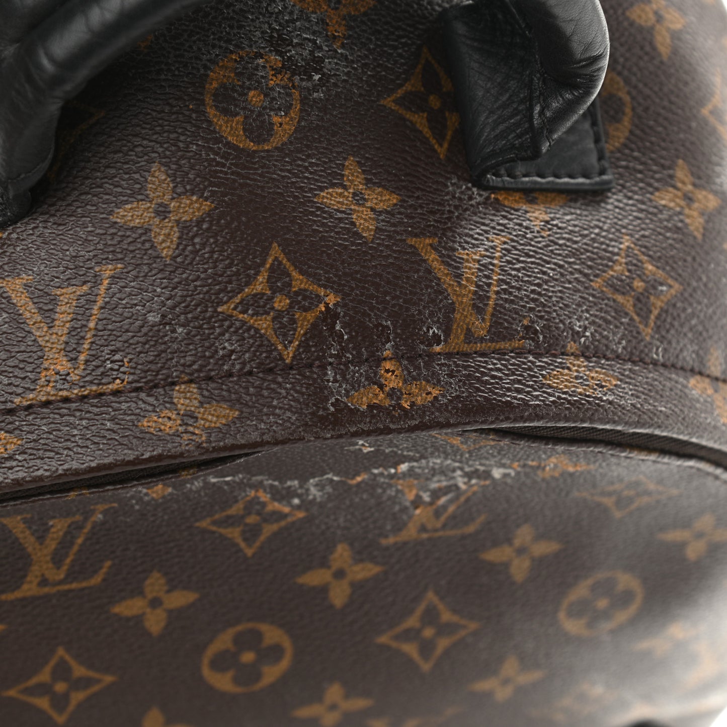 Monogram Palm Springs Backpack MM