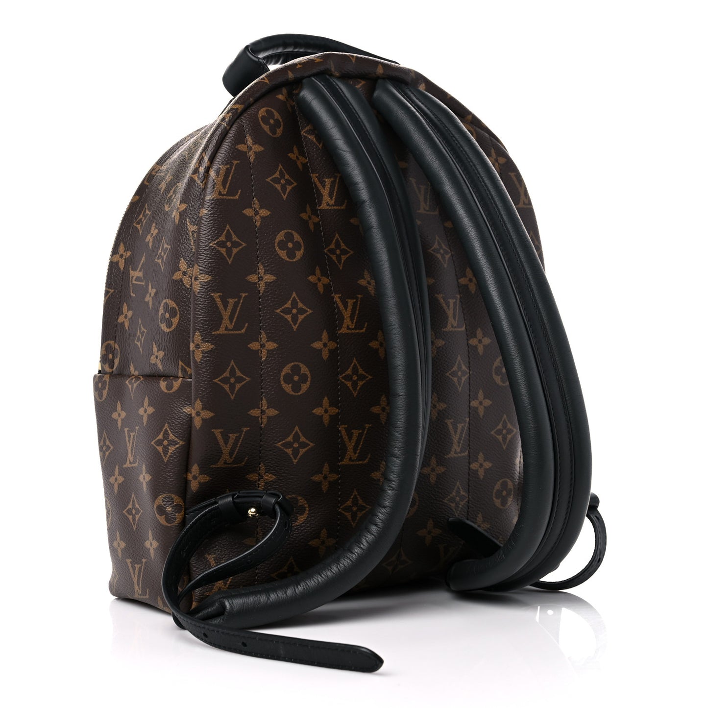 Monogram Palm Springs Backpack MM