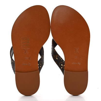 Louis Vuitton Monogram Sunny Flat Thong Sandals 35 Brown 5 of 11