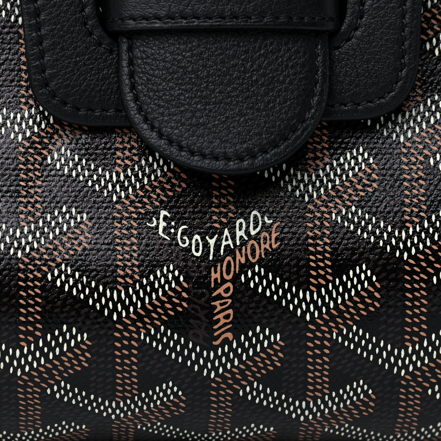 Goyard Goyardine Mini Saigon Black 11 of 14