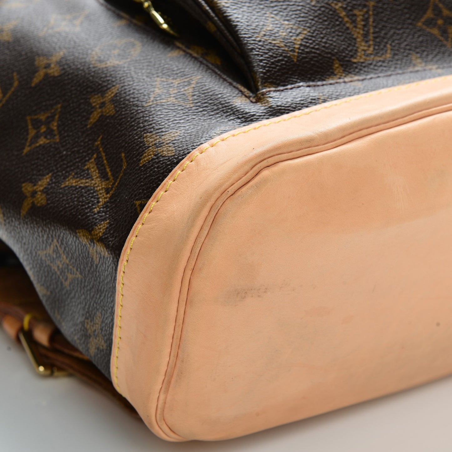 Monogram Montsouris GM Backpack