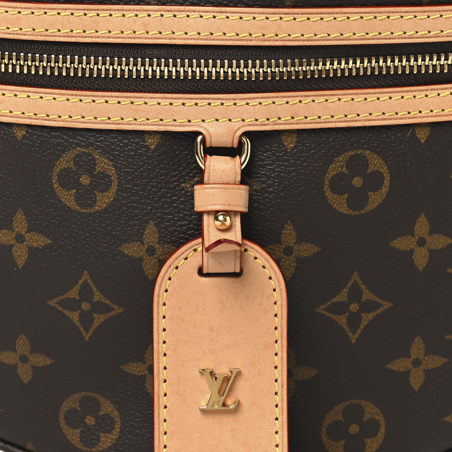 Monogram High Rise Bumbag