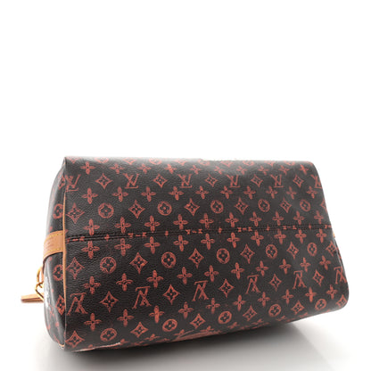 Louis Vuitton Catogram Speedy Bandouliere 30 Marron 4 of 11