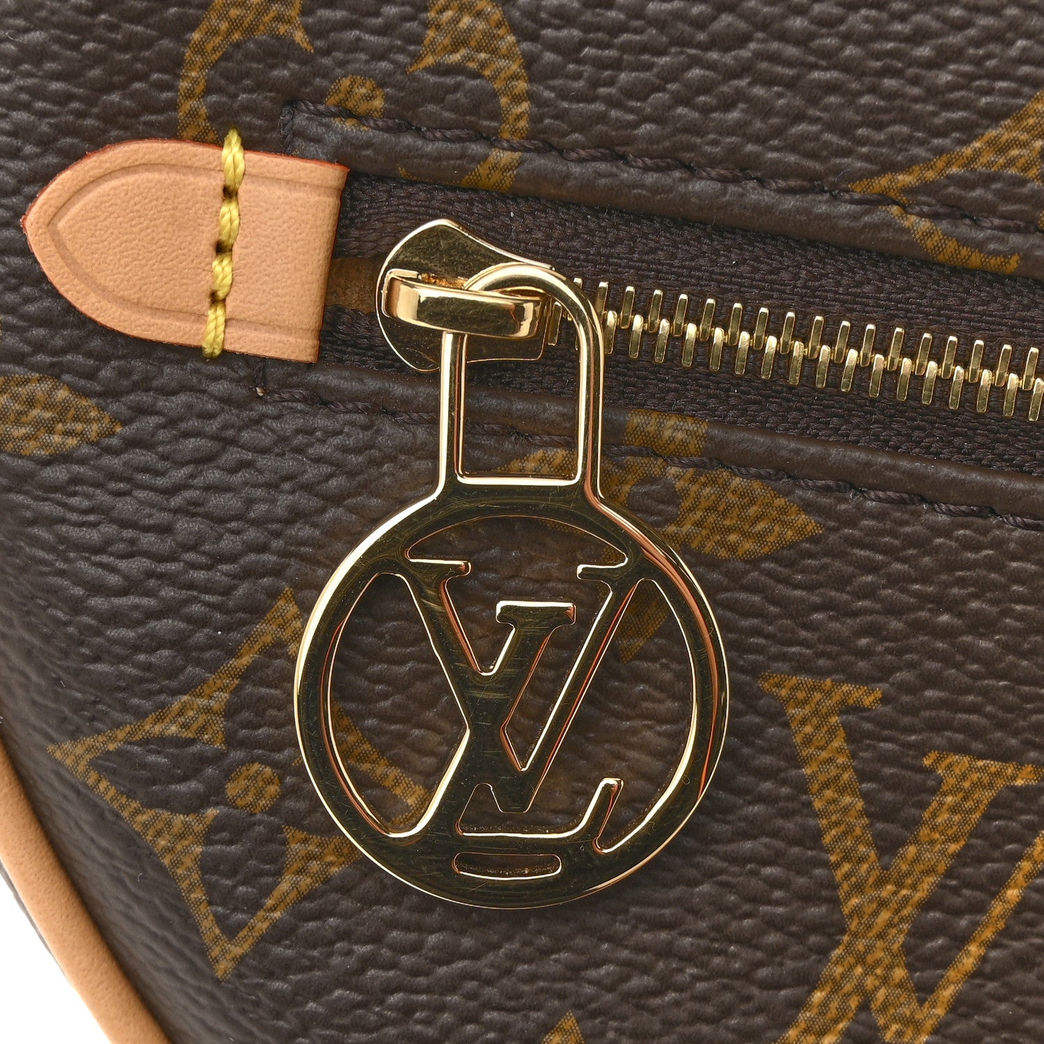 Louis Vuitton Monogram Loop 10 of 12