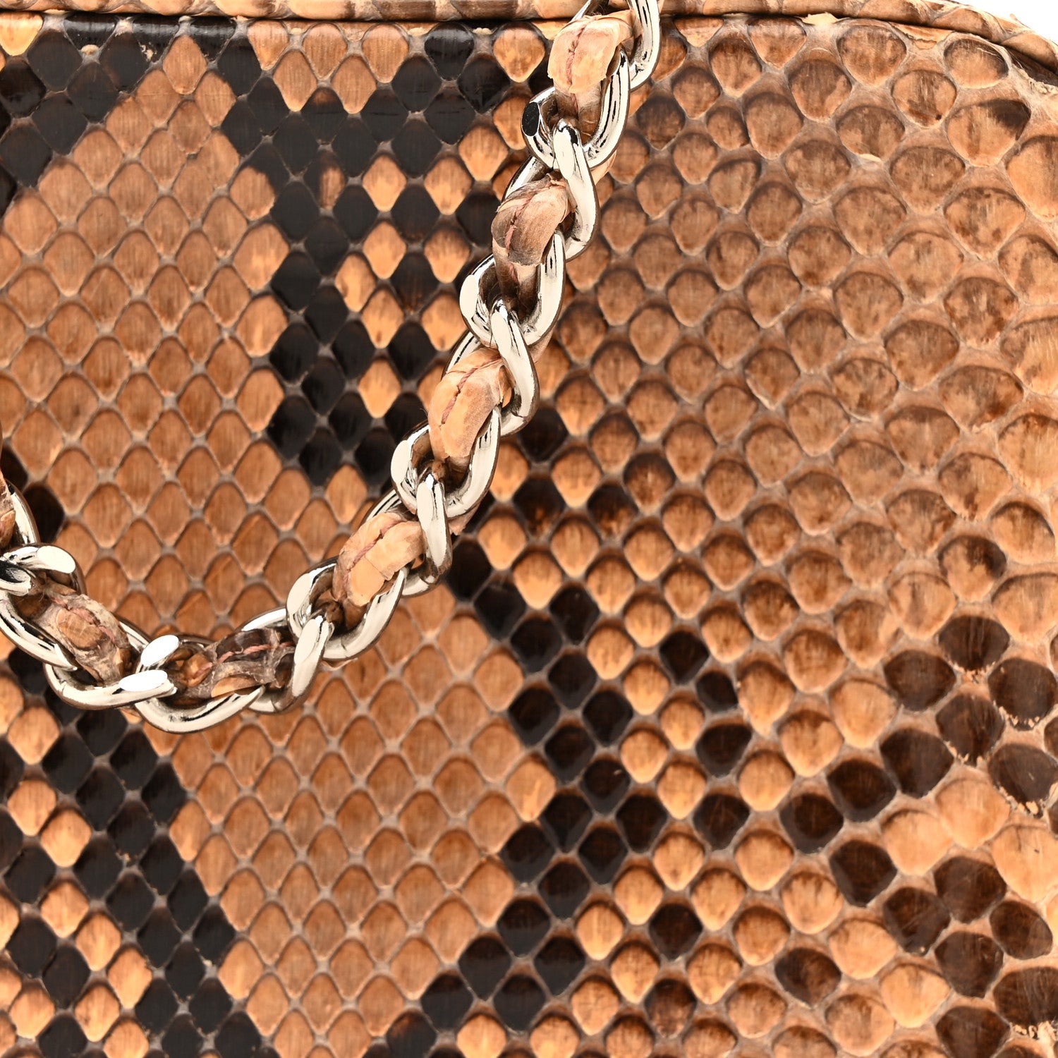 Chanel Snakeskin Mini Shoulder Bag Beige 8 of 13