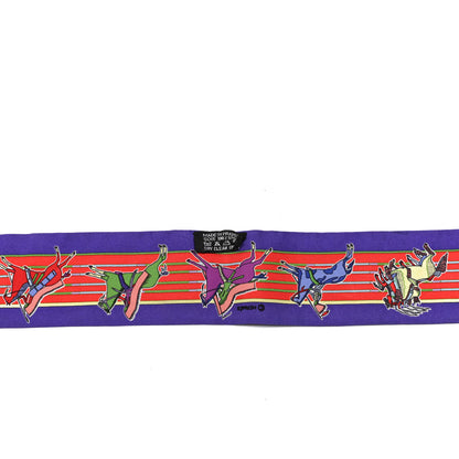 Hermes Silk Pani La Shar Pawnee Twilly 2 of 4