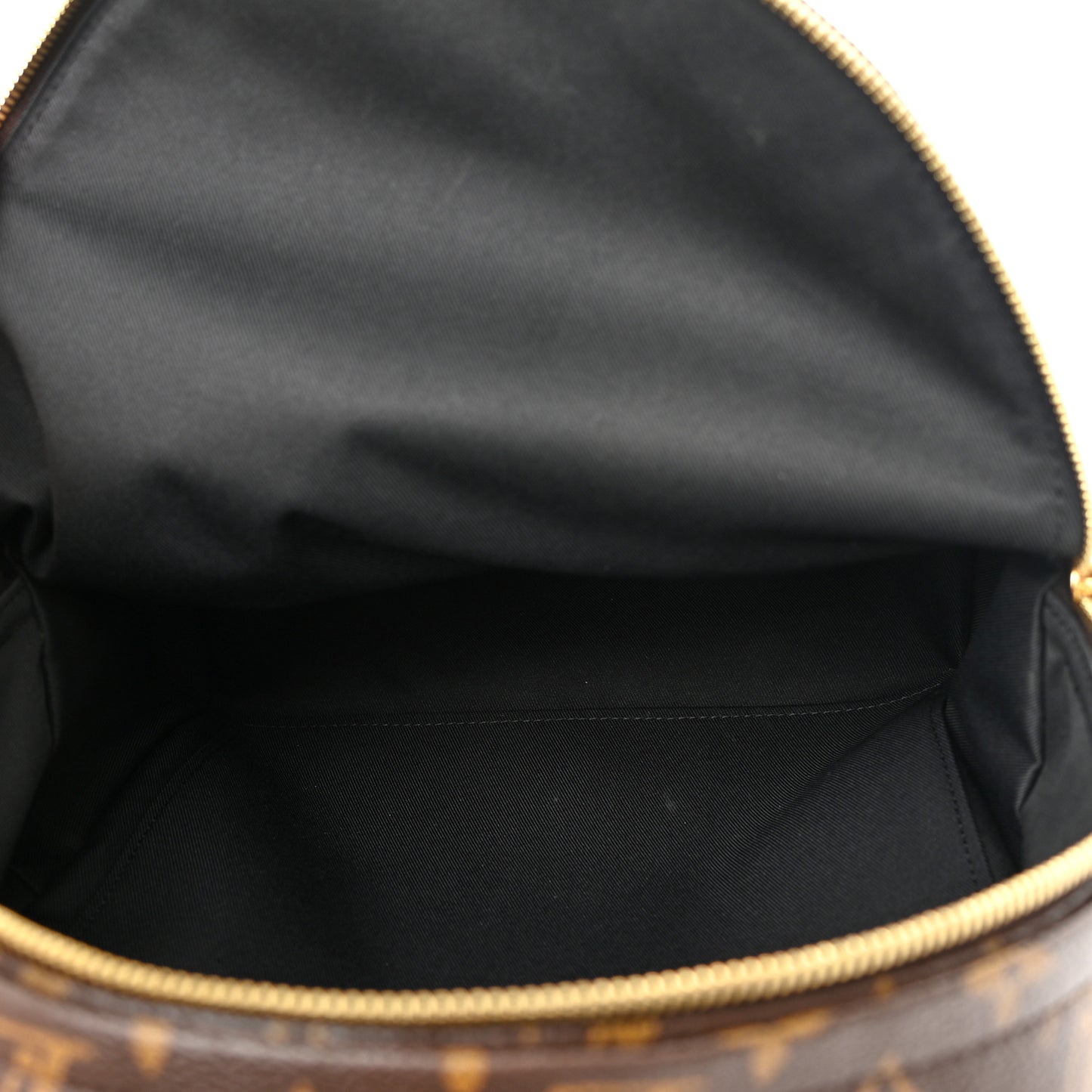 Monogram Palm Springs Backpack MM