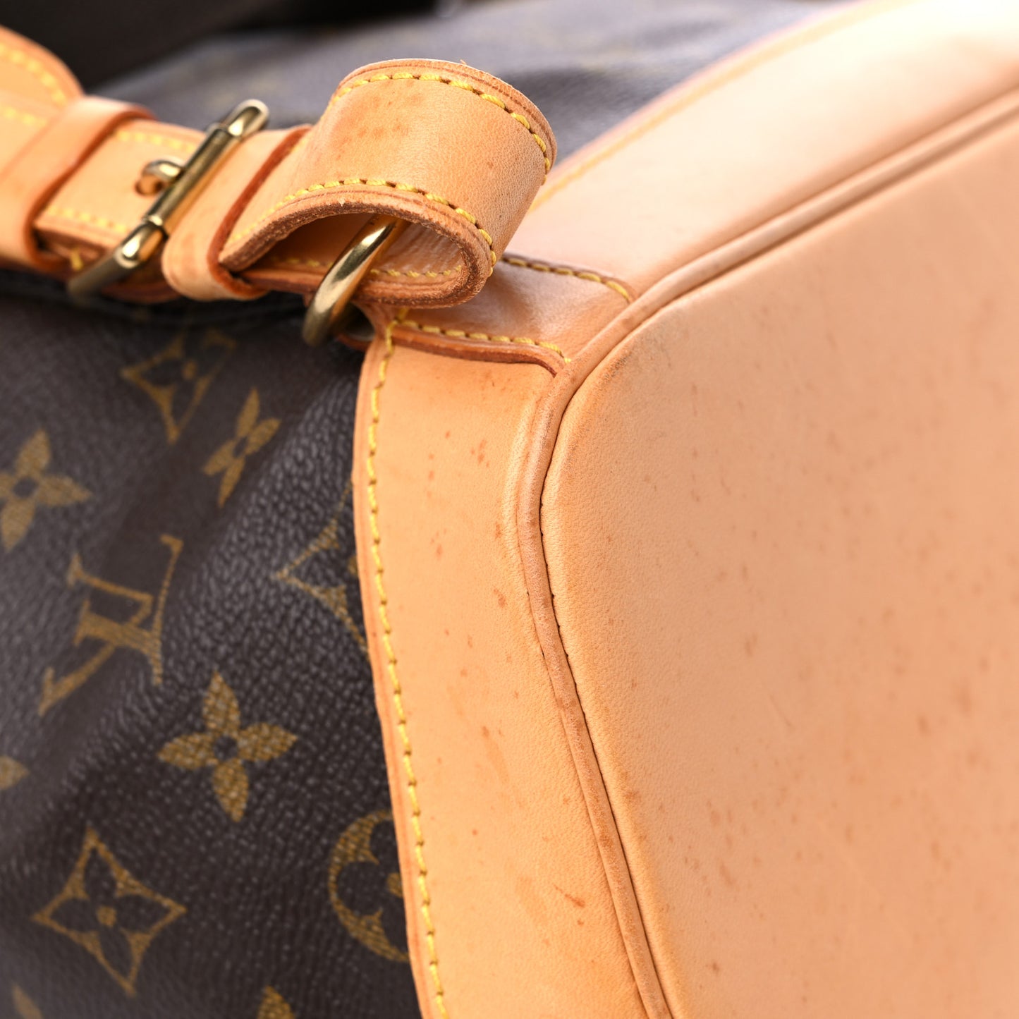 Monogram Montsouris GM Backpack
