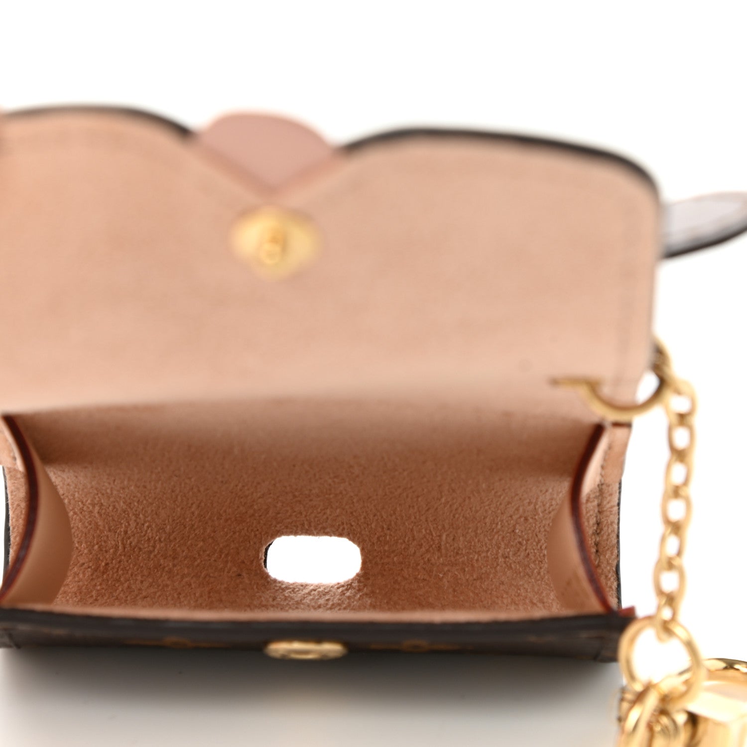 Louis Vuitton Monogram Dog Earpods Case 4 of 7