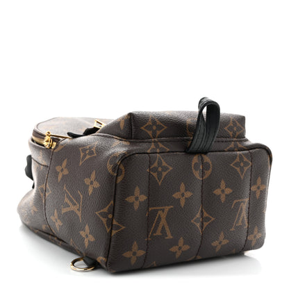 Louis Vuitton Monogram My World Tour Palm Springs Backpack Mini 4 of 10