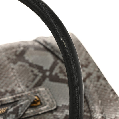 Celine Snakeskin Mini Luggage Multicolor 13 of 13