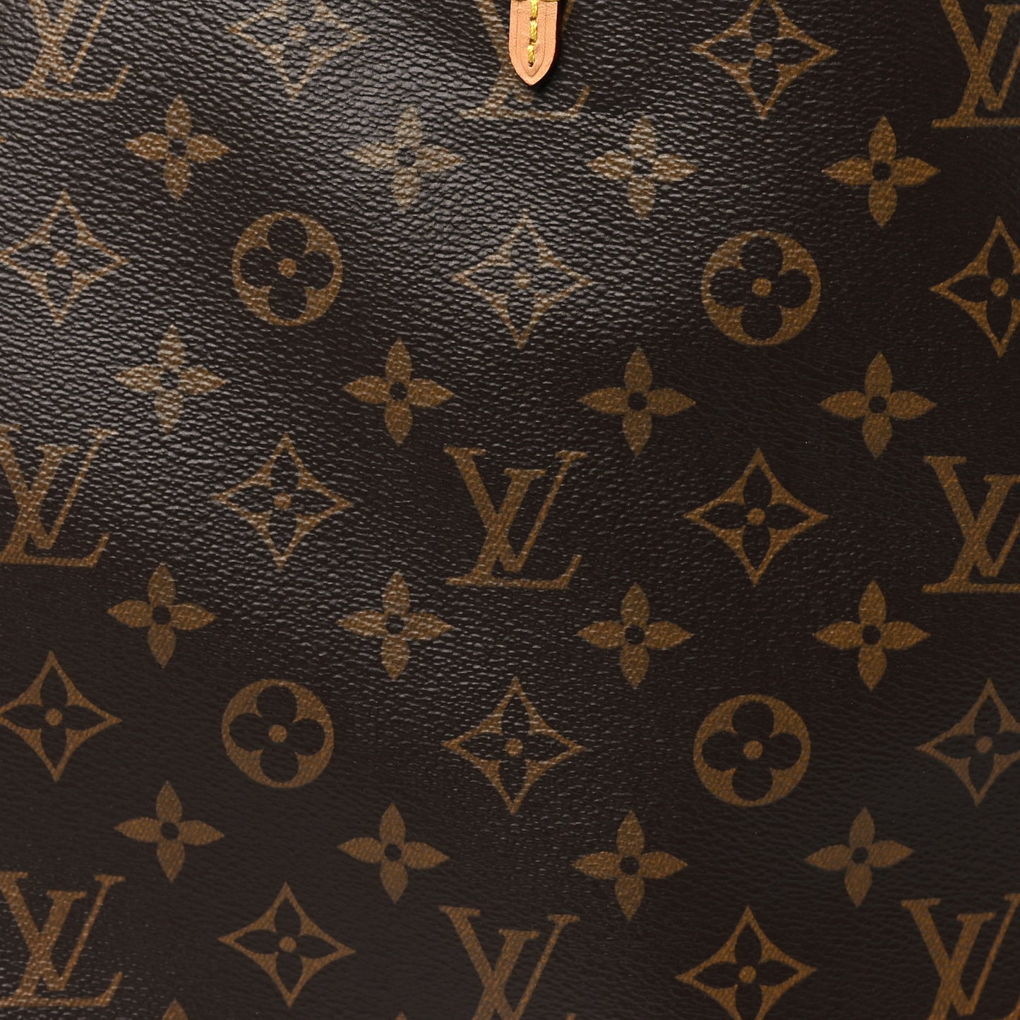 Monogram Carryall MM