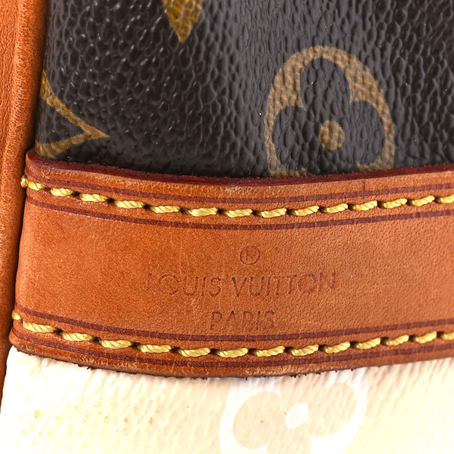 Monogram Rayures Petit Noe