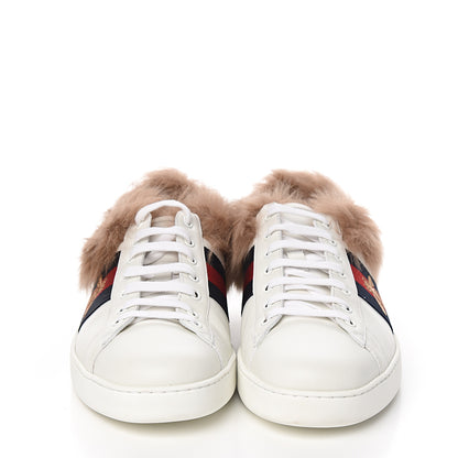 Gucci Calfskin Wool Web Bee Embroidered Mens Ace Sneakers 9.5 White 2 of 8