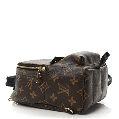 Louis Vuitton Monogram Palm Springs Backpack Mini 4 of 8