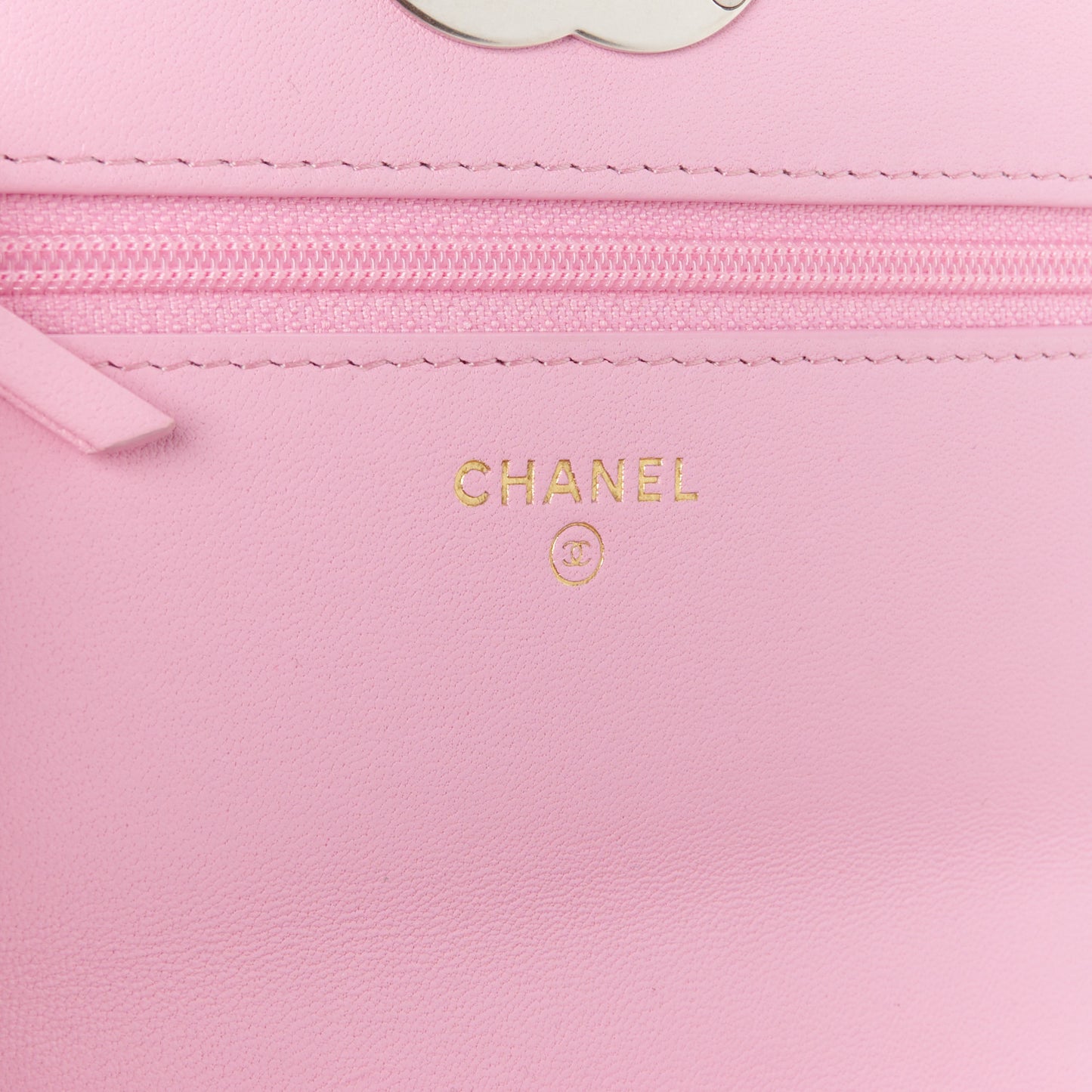 Lambskin Quilted Chanel 19 Wallet On Chain WOC Pink
