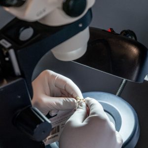 image of fashionphile authenticator