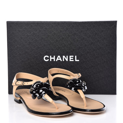 Chanel Lambskin Camellia Thong Sandals 37.5 Beige Black 8 of 8