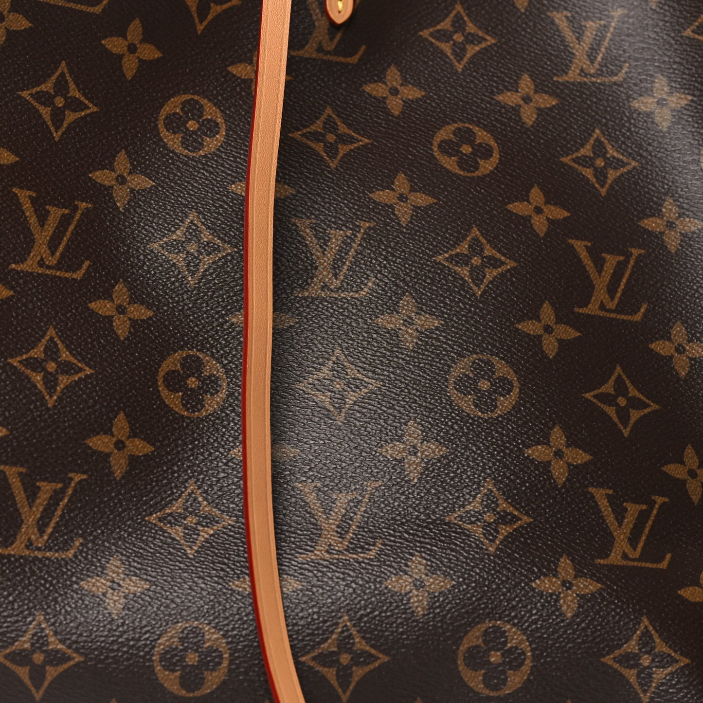 Monogram Carryall MM