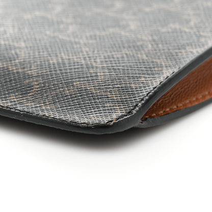 Celine Triomphe Canvas Lambskin Phone Pouch With Flap Tan 8 of 8