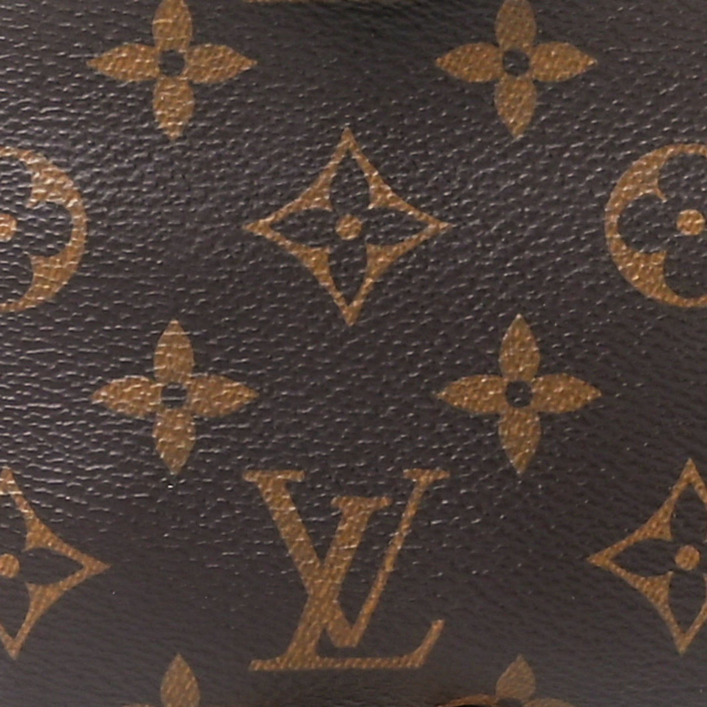 Monogram Bumbag