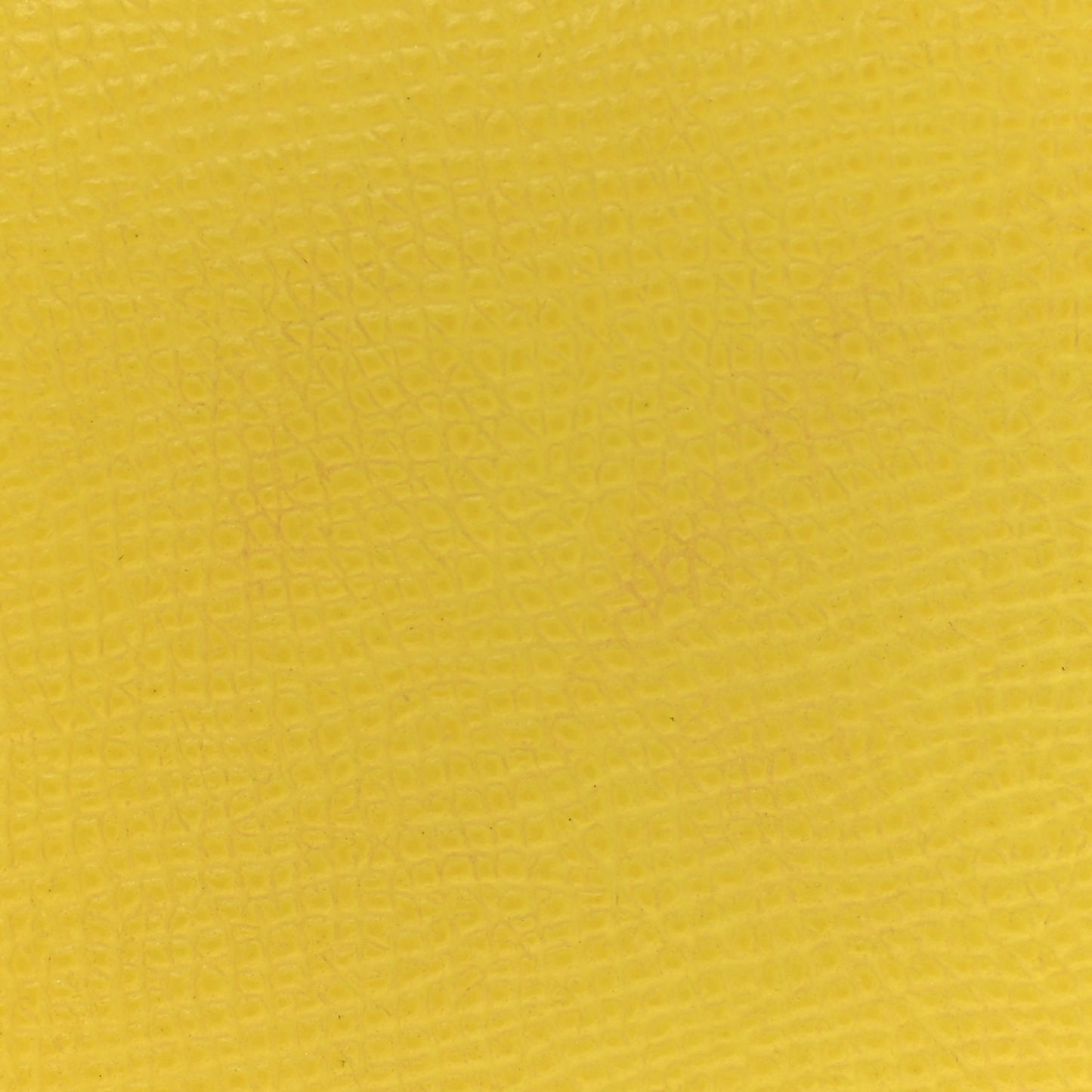 Epsom Bastia Coin Purse Lime