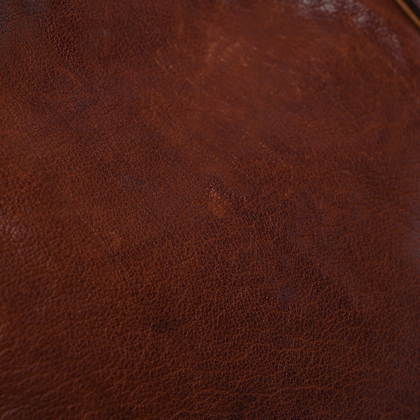 Buffalo Leather Studded Hobo Brown