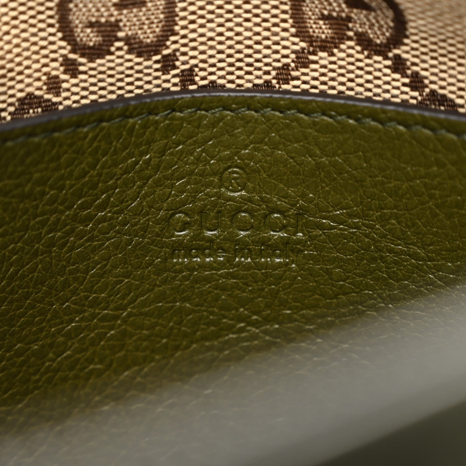 Gucci Piuma Lux Energy Web Monochrome Double G Crossbody Bag Military Wood 6 of 9