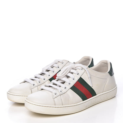 Gucci Calfskin Crocodile Web Womens Ace Sneakers 35 White Green 3 of 16