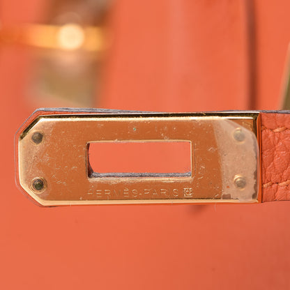 Hermes Togo Birkin 25 Feu 24 of 36