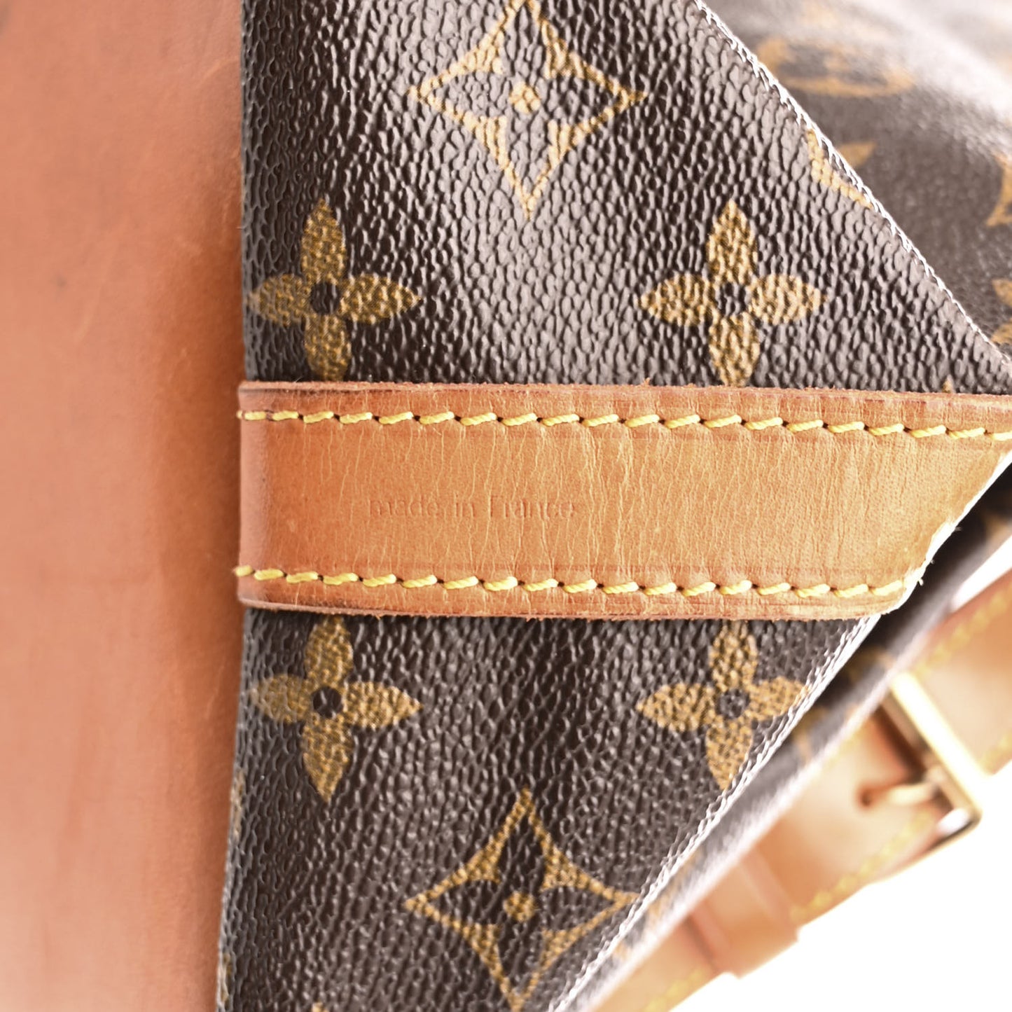 Monogram Petit Noe