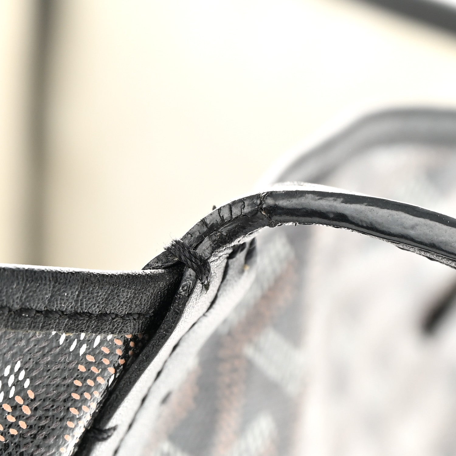 Goyard Goyardine Saint Louis PM Black 12 of 15